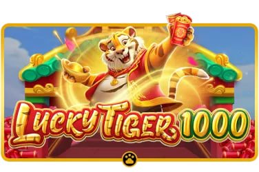 551bet9